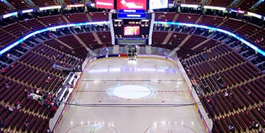 Toronto Maple Leafs