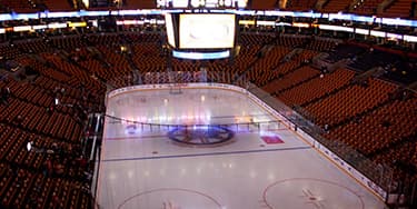 Boston Bruins
