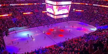 Florida Panthers