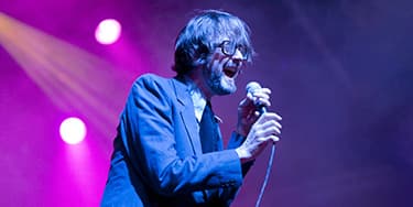 Image of Pulp