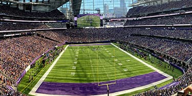 Minnesota Vikings