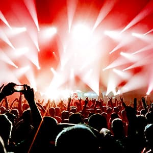 Image of The Basement Yard Experience